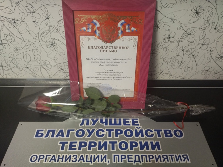 День поселка.