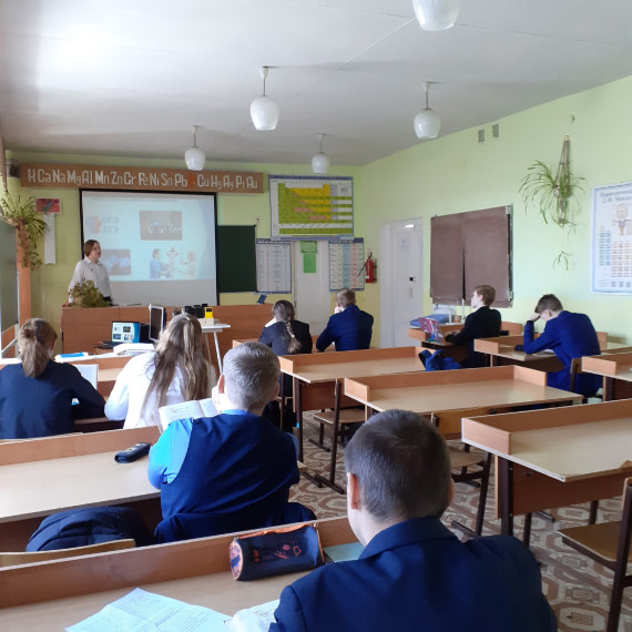 "Причины бессонницы у старшеклассников".